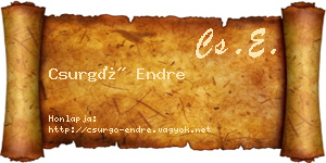 Csurgó Endre névjegykártya
